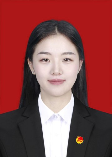 公开”的原则