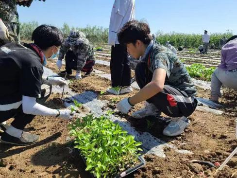 历史和现实都告诉我们,